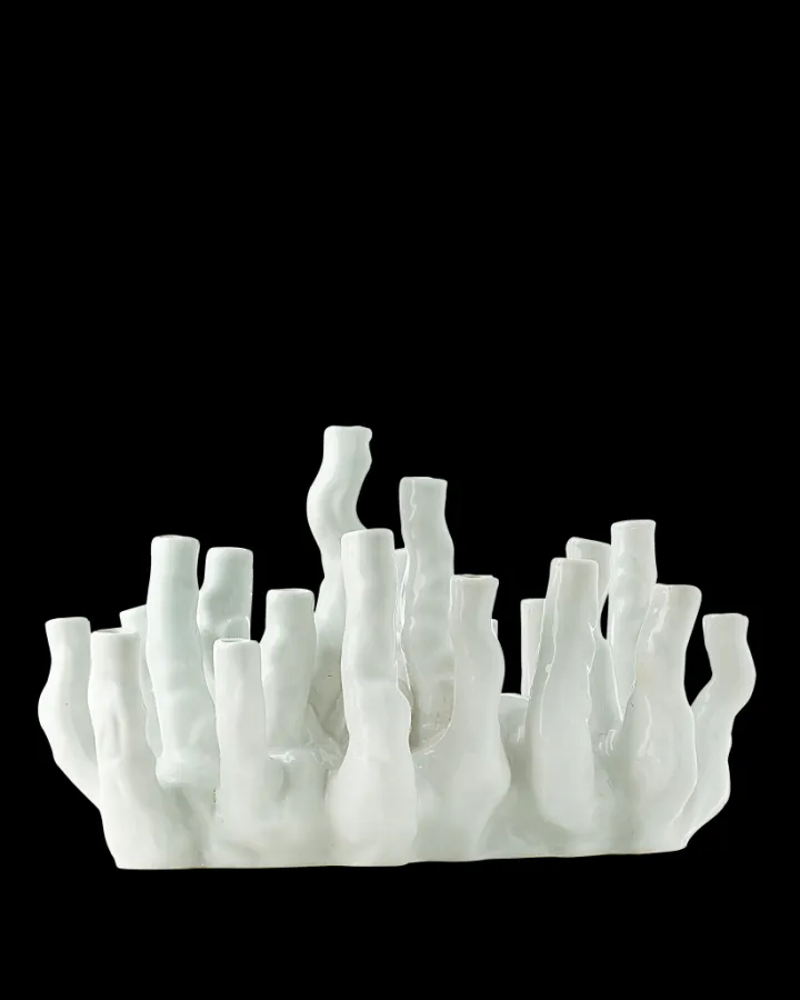 Polspotten Coral Reef Vase- Vases