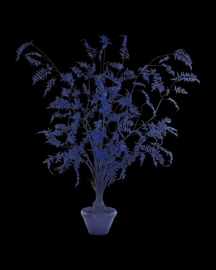 Polspotten Fern In Pot - L- Decoration