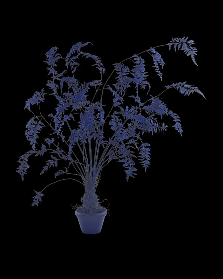 Polspotten Fern In Pot - S- Decoration